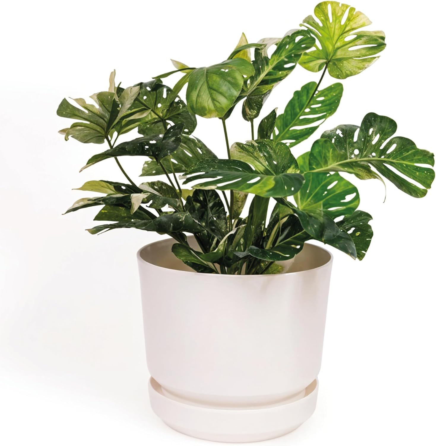 Latitude Run® 10 Inch Plastic Cylinder Planter Pot With Self-Watering ...